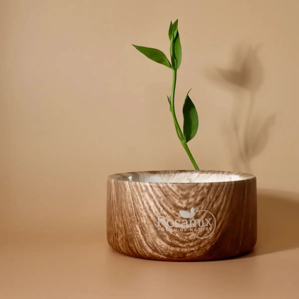 Erfrischende Sojawachskerze – Zitrone & Eukalyptus-1